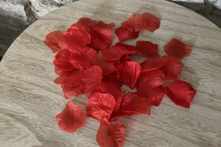 Fine Events - Pétales de roses rouges synthétiques